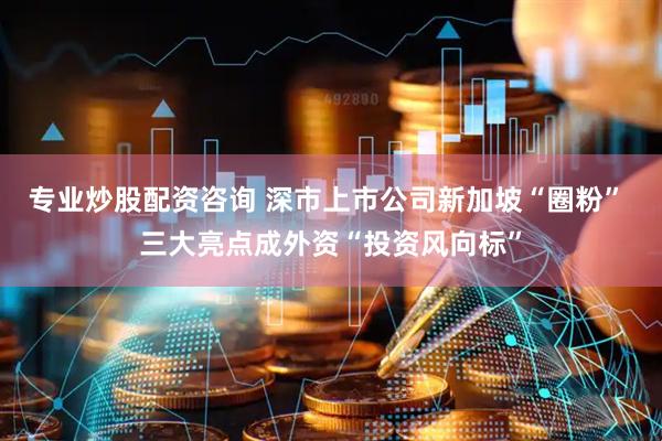 专业炒股配资咨询 深市上市公司新加坡“圈粉” 三大亮点成外资“投资风向标”